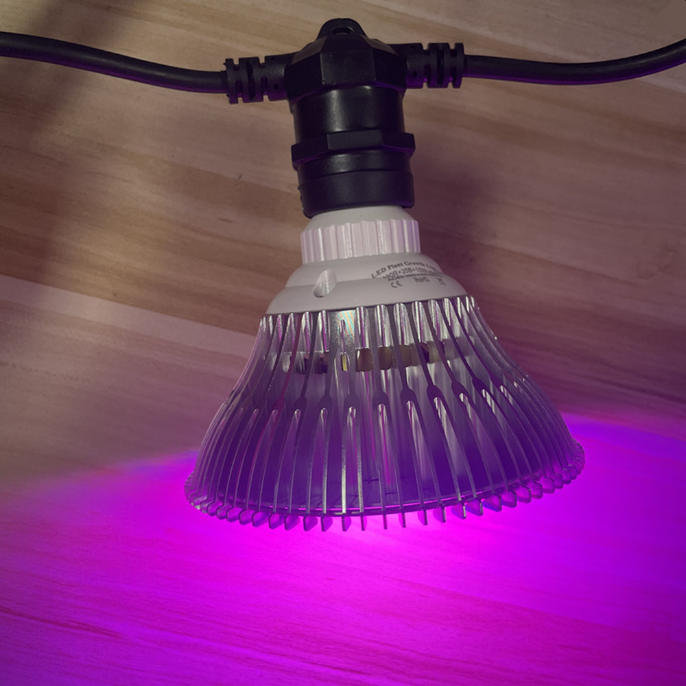 10M Cable LED String Commercia - Outdoor Lighting Brands review and price
